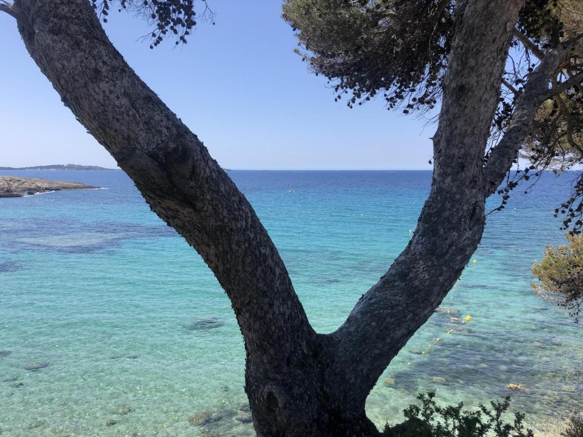 Les Baux 2 Sanary Sur Mer Kültér fotó